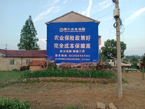 泸西墙体广告为何受追捧？